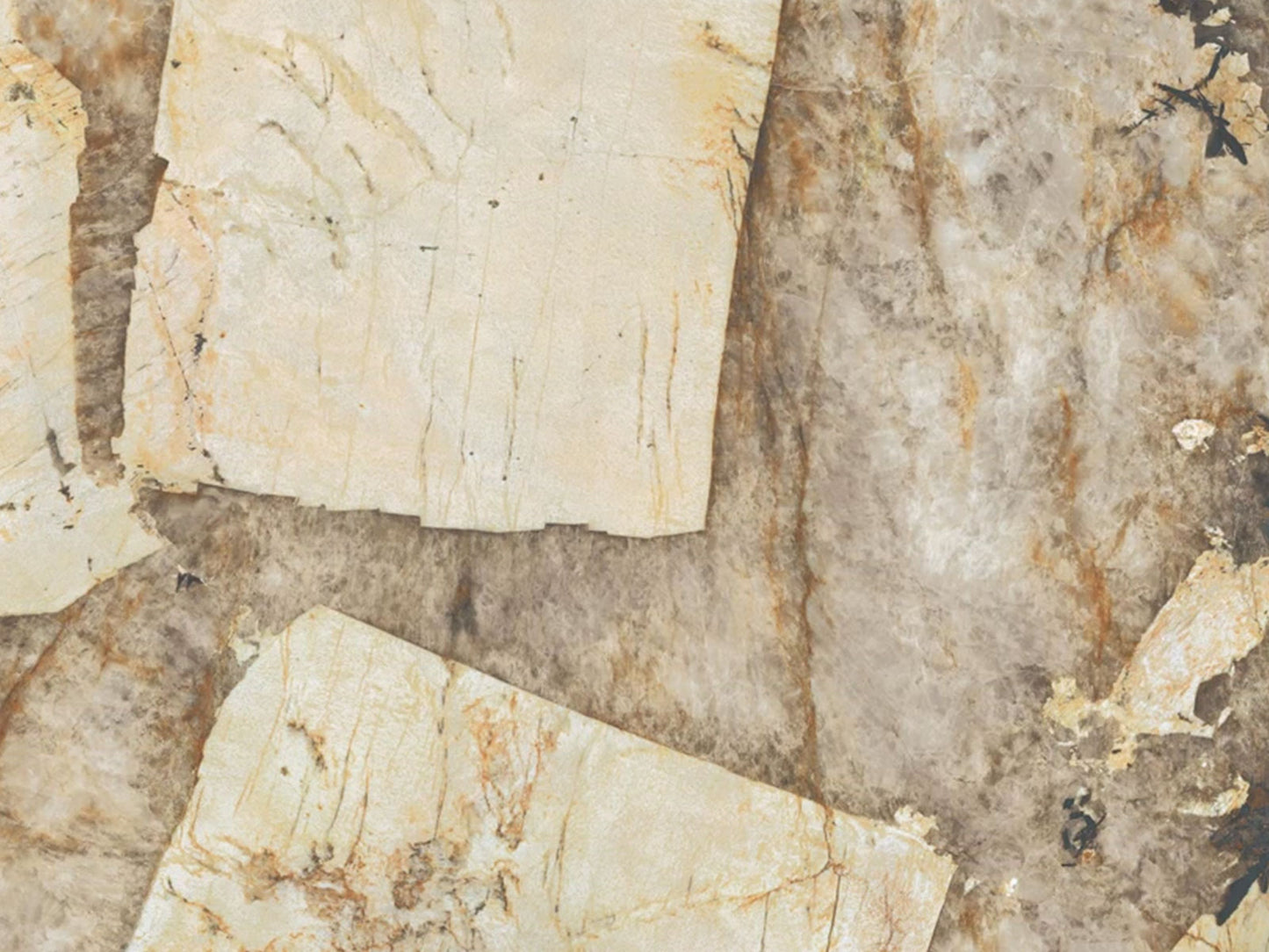 Patagonia Desert Porcelain