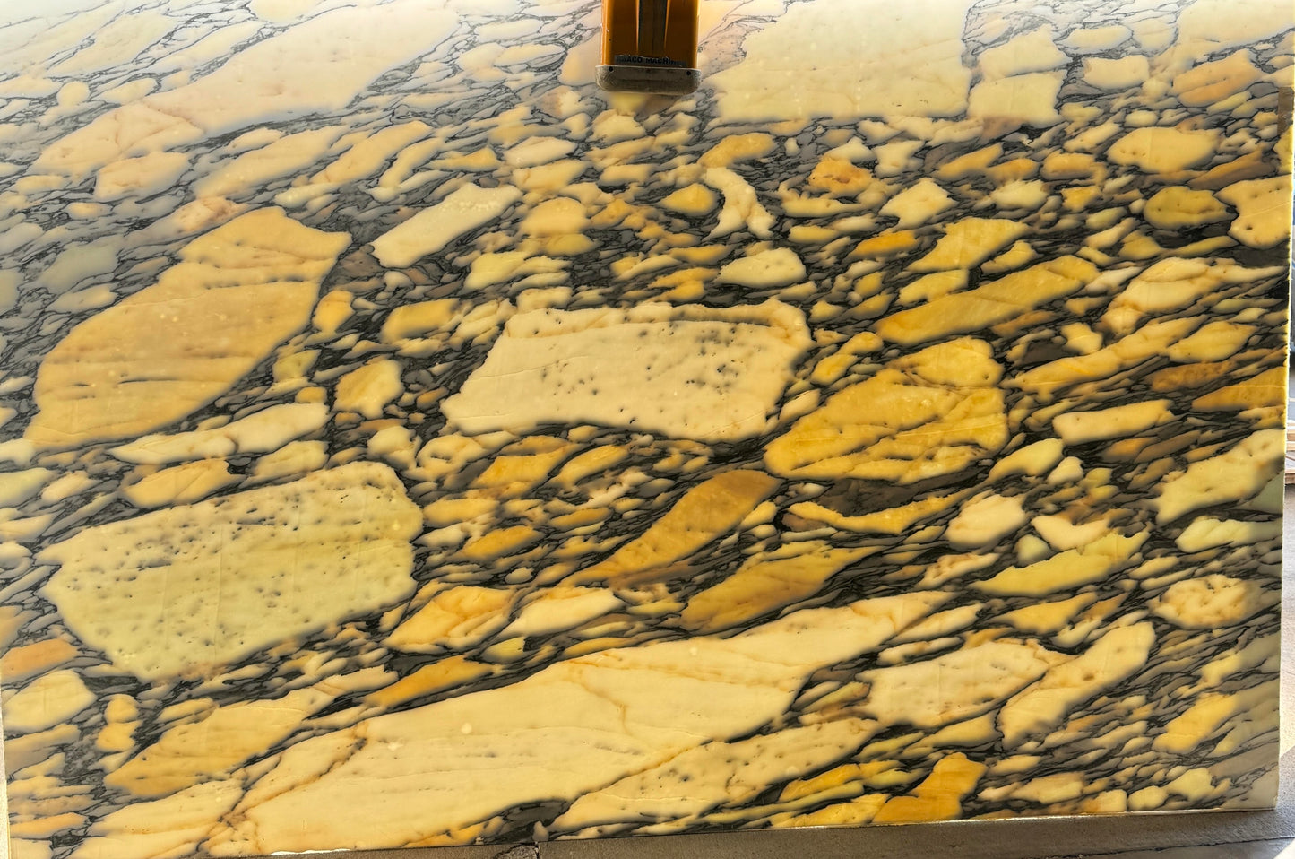Calacatta Corchia Marble