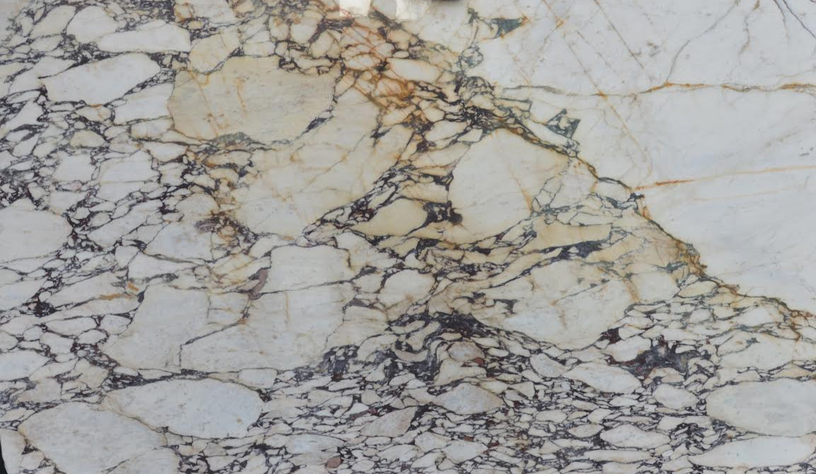 Calacatta Viola Marble