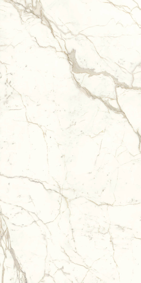 Prestigio Porcelain